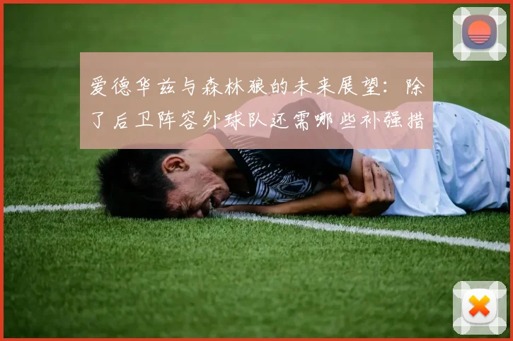 爱德华兹与森林狼的未来展望：除了后卫阵容外球队还需哪些补强措施
